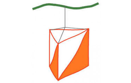 Rentrée sportive 2017/2018