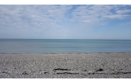 24 septembre : CO du COBS